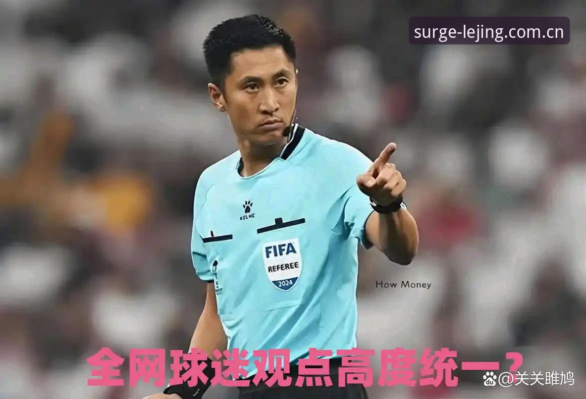 马宁不看球迷评论，凭什么走到世界杯舞台？